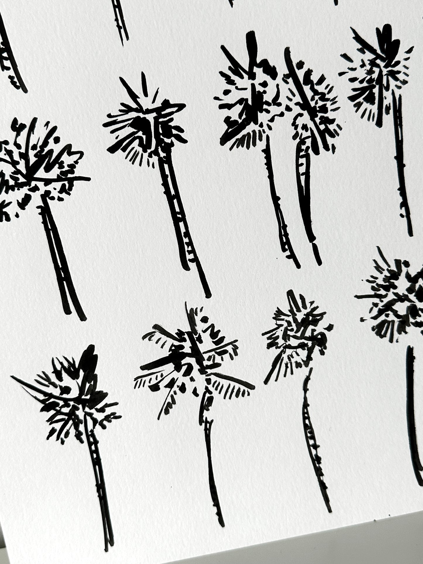 A set of California Palm Trees