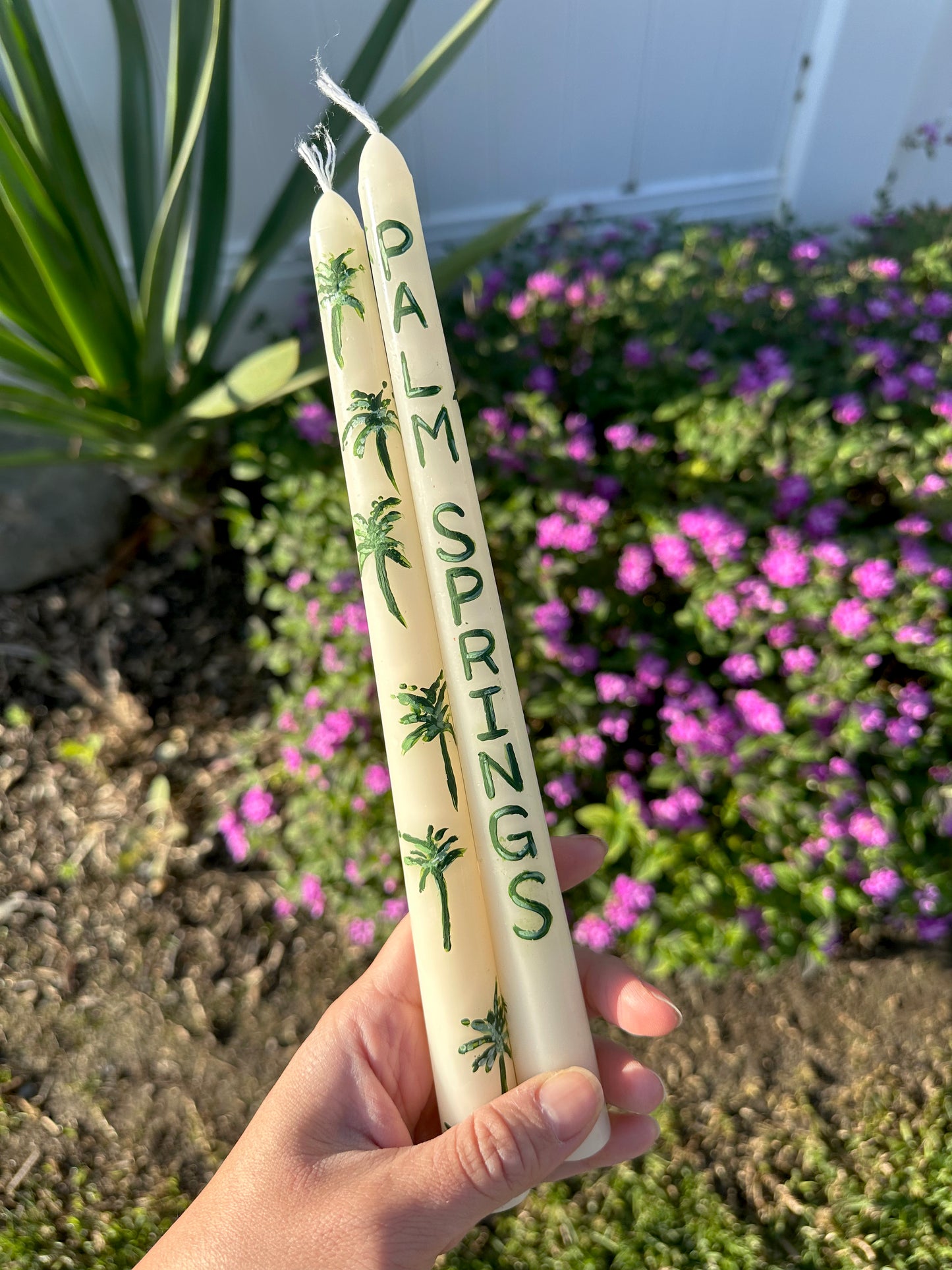 Palm Trees (Palm Springs)