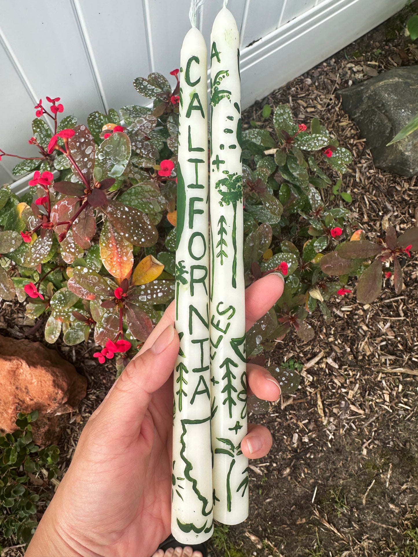 Palm Trees (California)