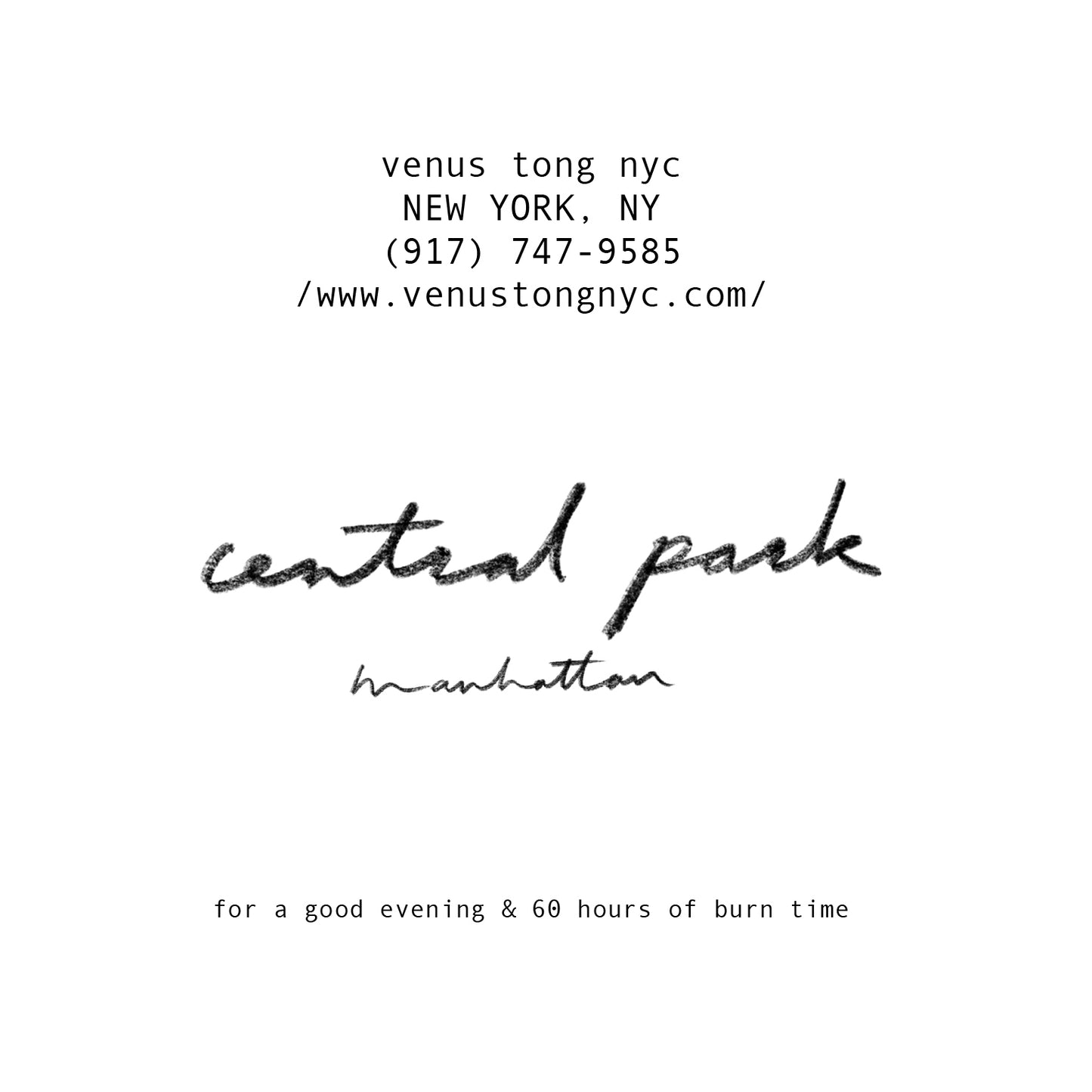 central park candle (12oz)