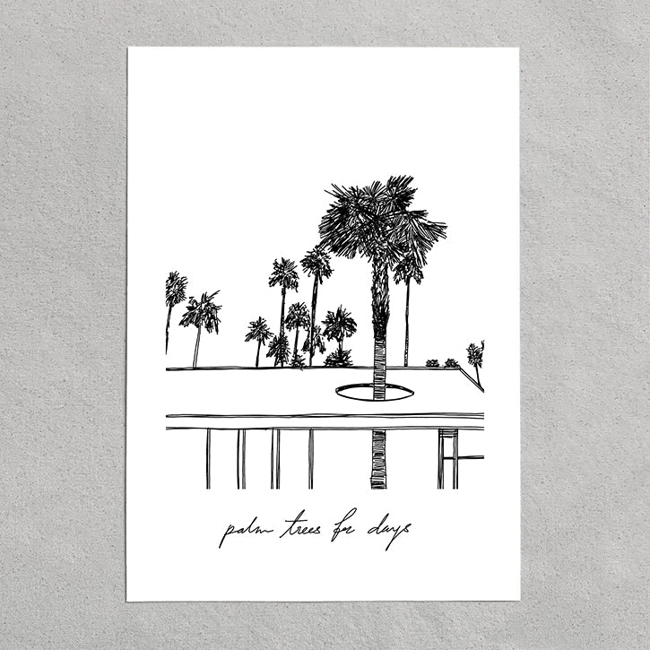palm trees for days